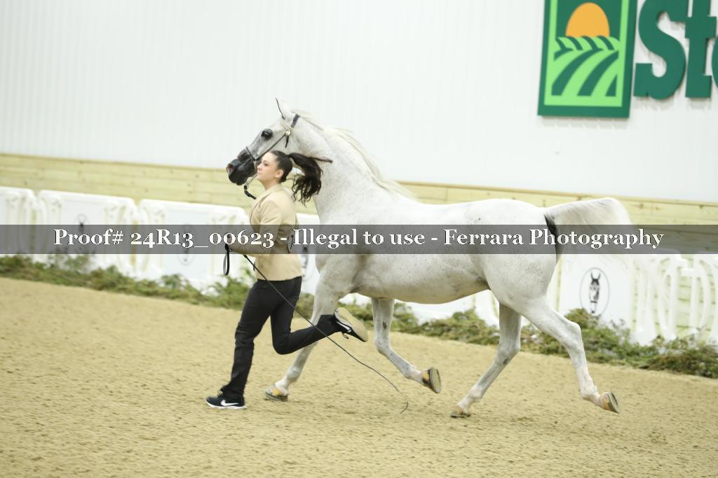 Proof 24R13_00623