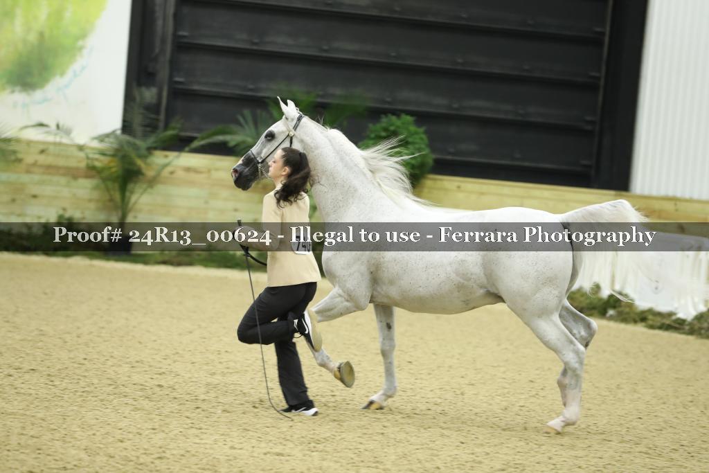 Proof 24R13_00624