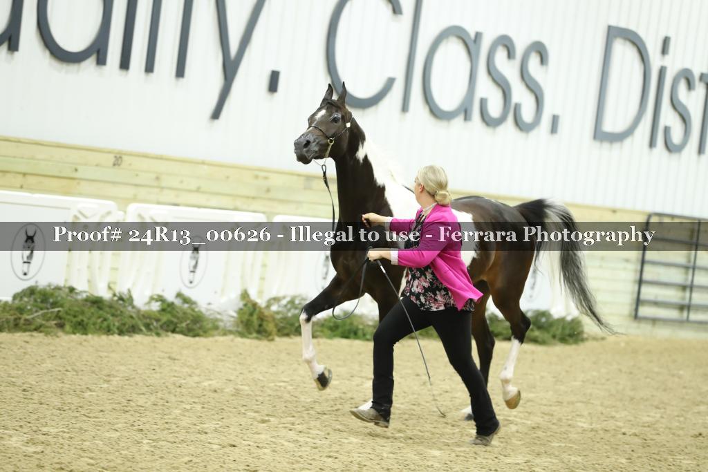 Proof 24R13_00626