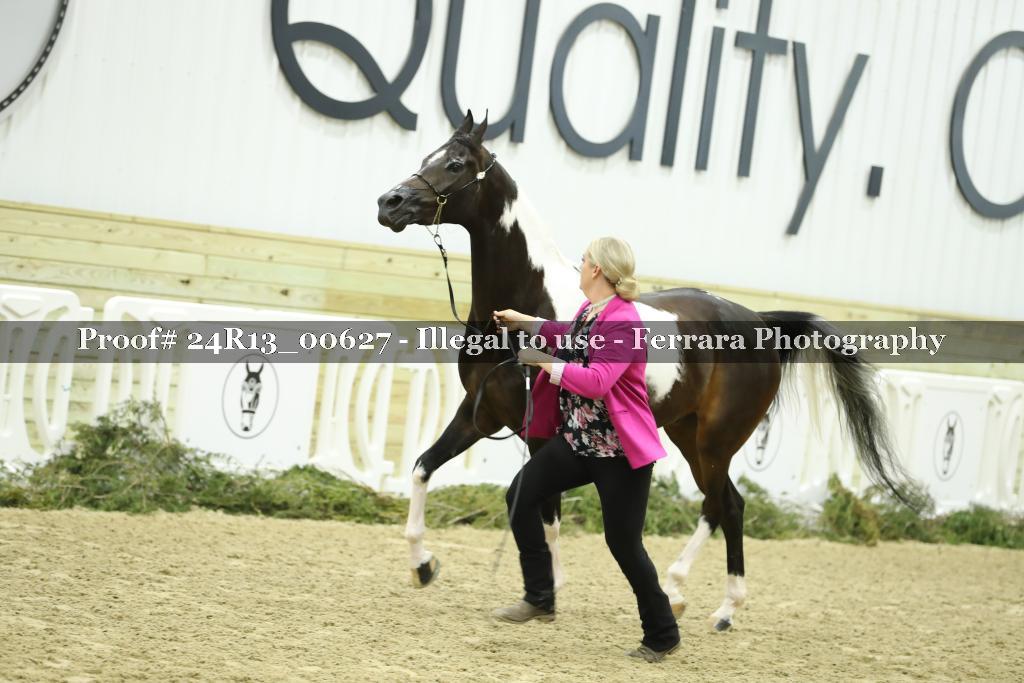 Proof 24R13_00627