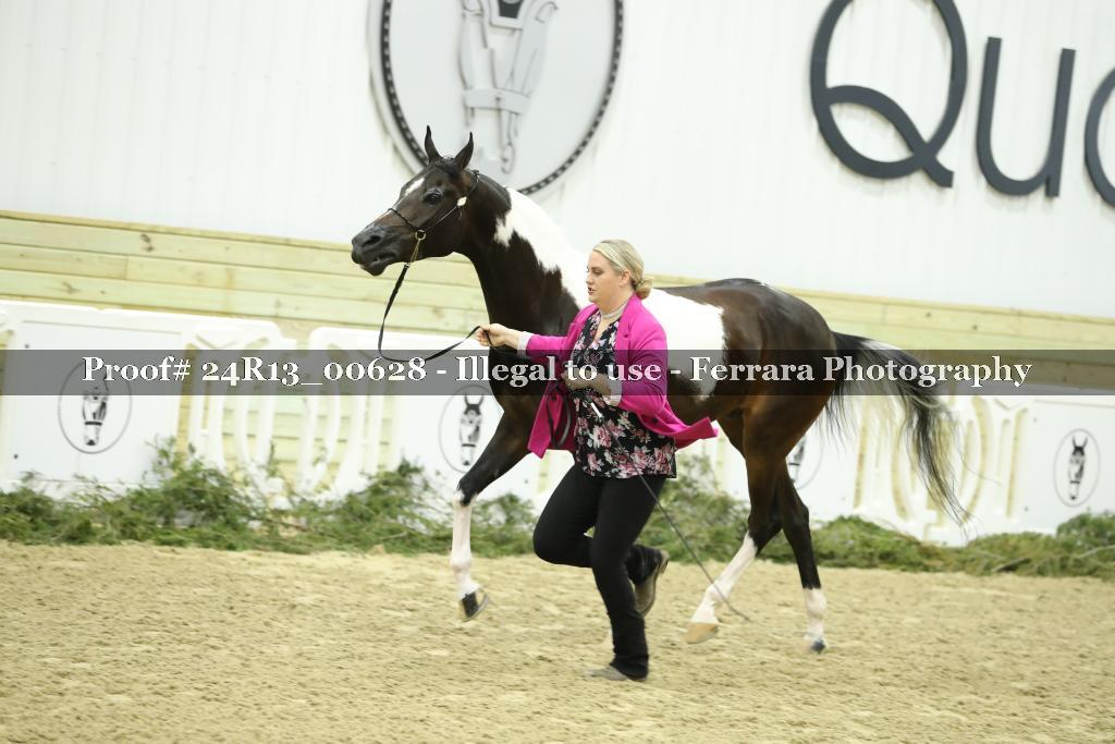 Proof 24R13_00628