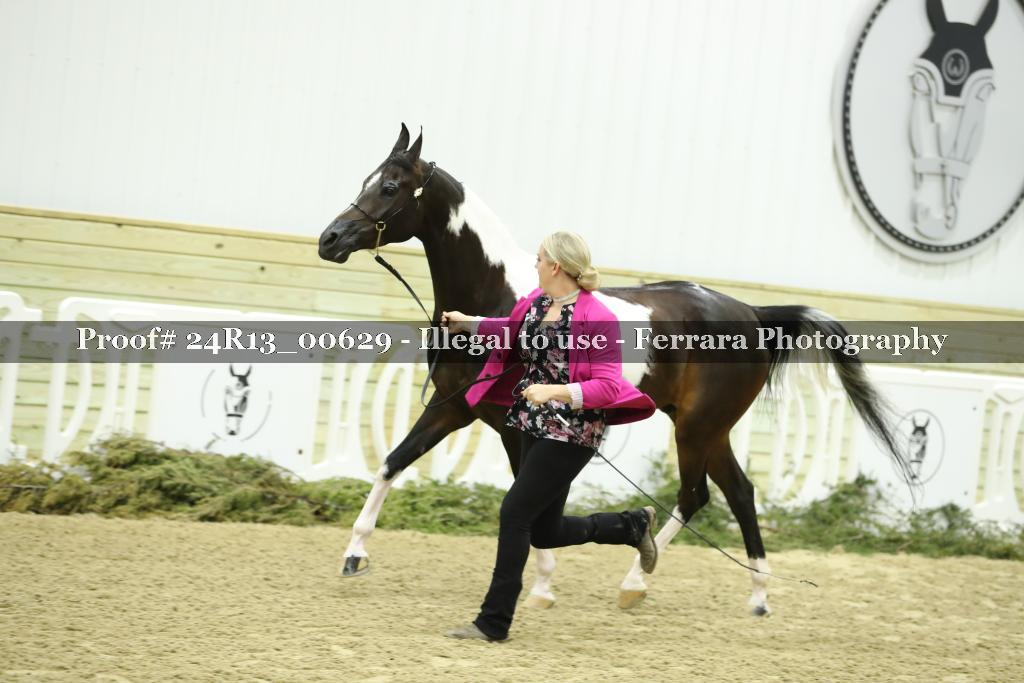 Proof 24R13_00629