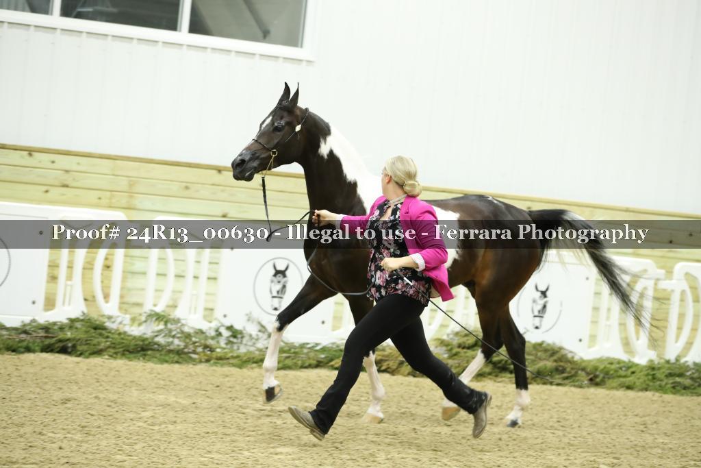 Proof 24R13_00630