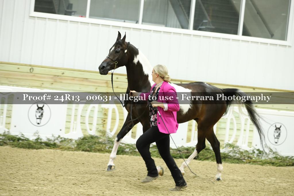 Proof 24R13_00631