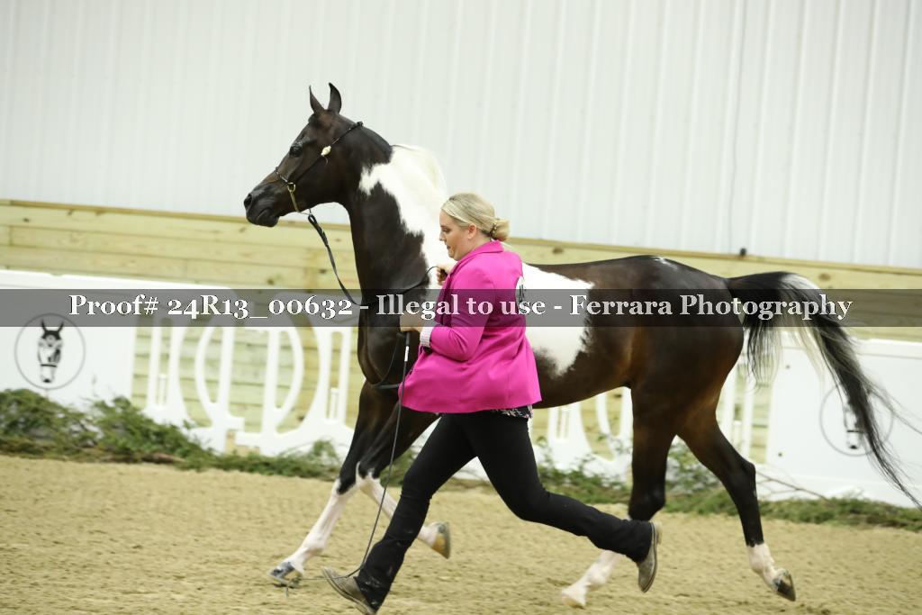 Proof 24R13_00632
