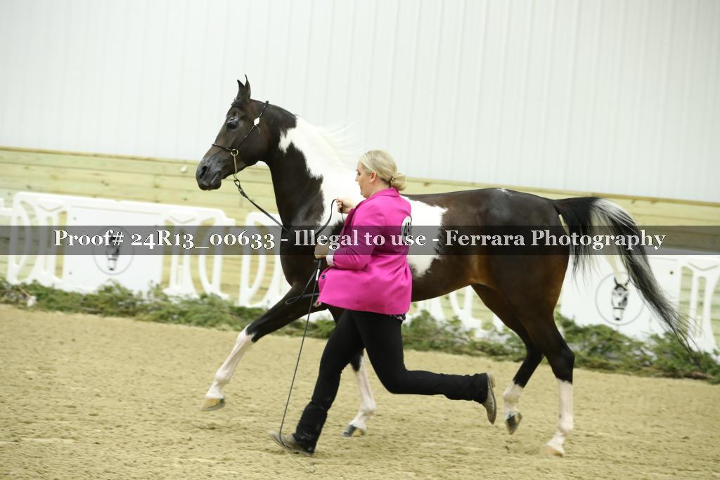 Proof 24R13_00633