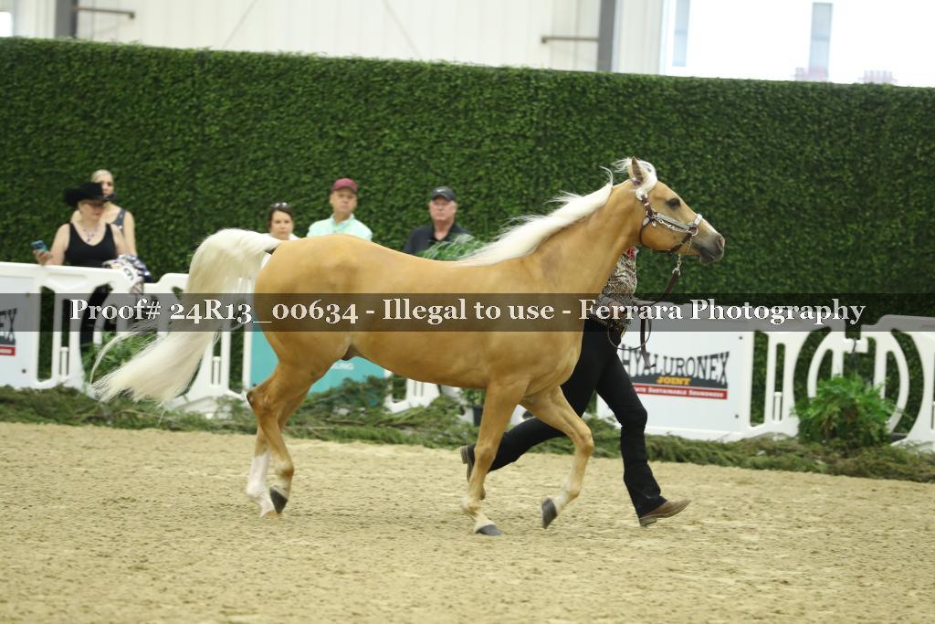 Proof 24R13_00634