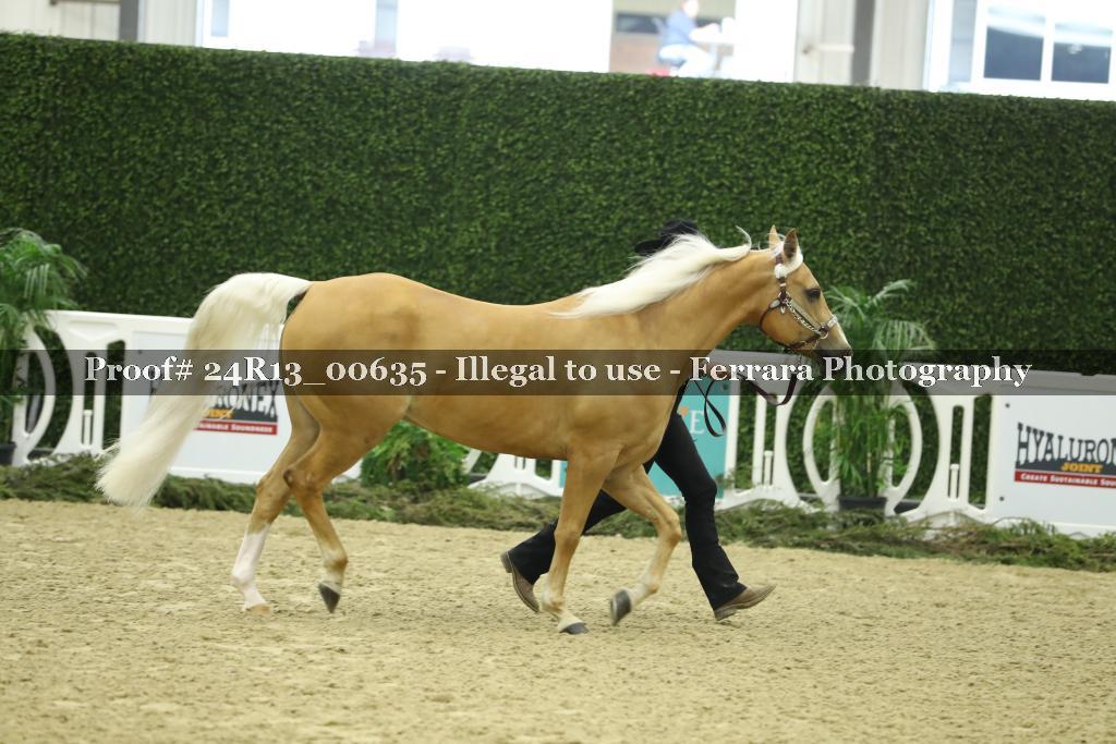 Proof 24R13_00635
