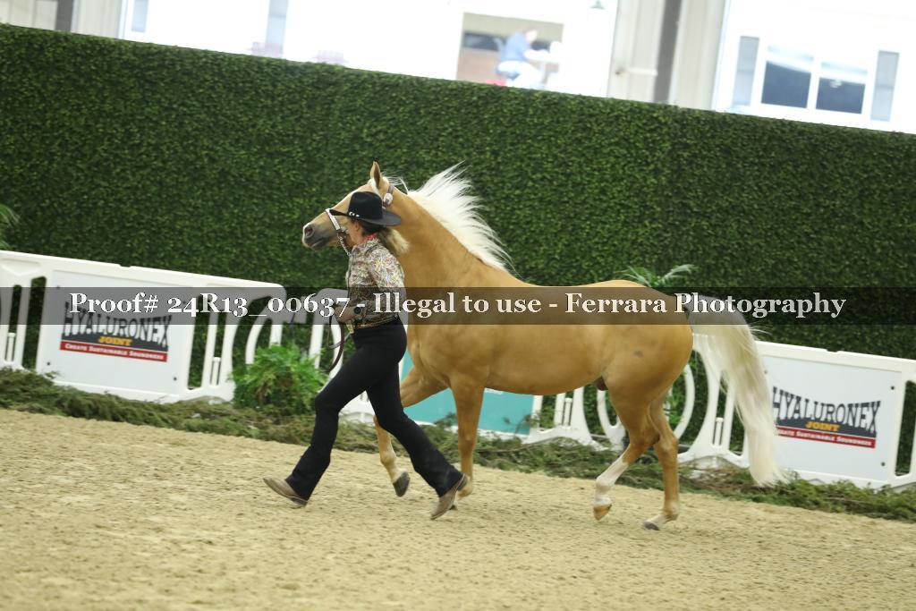 Proof 24R13_00637