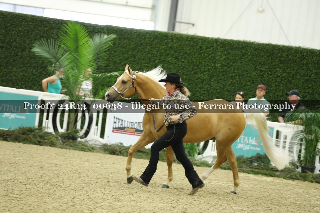 Proof 24R13_00638