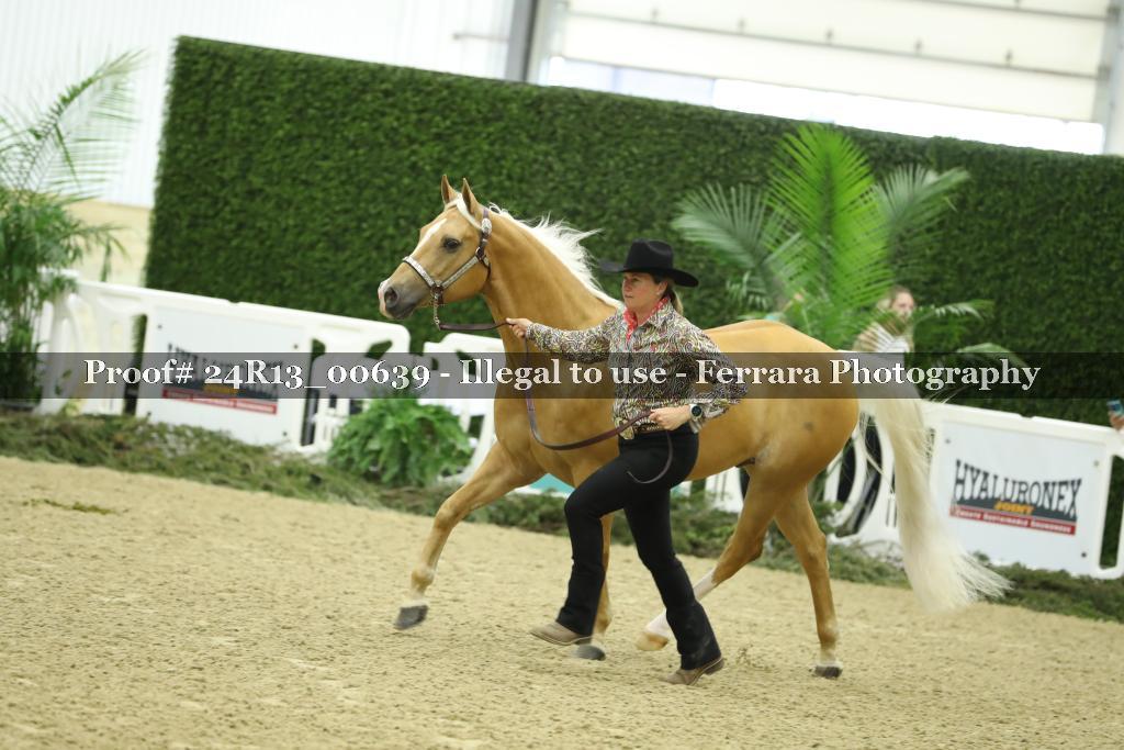 Proof 24R13_00639