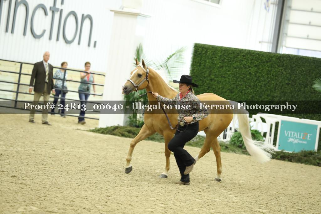 Proof 24R13_00640
