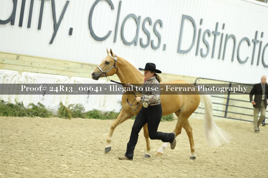 Proof 24R13_00641