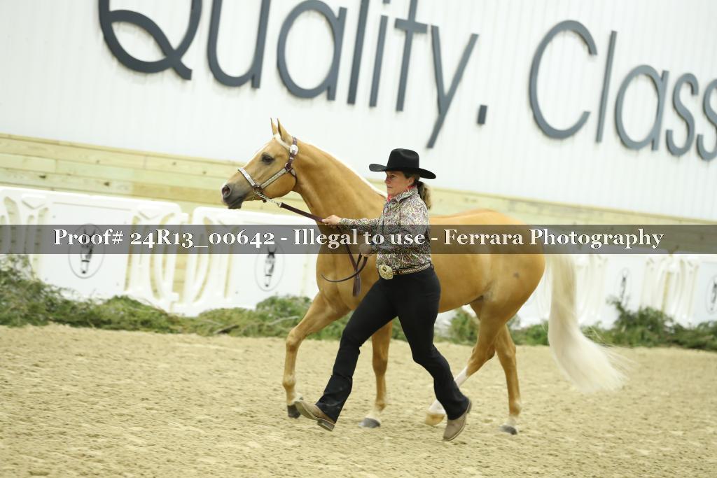 Proof 24R13_00642