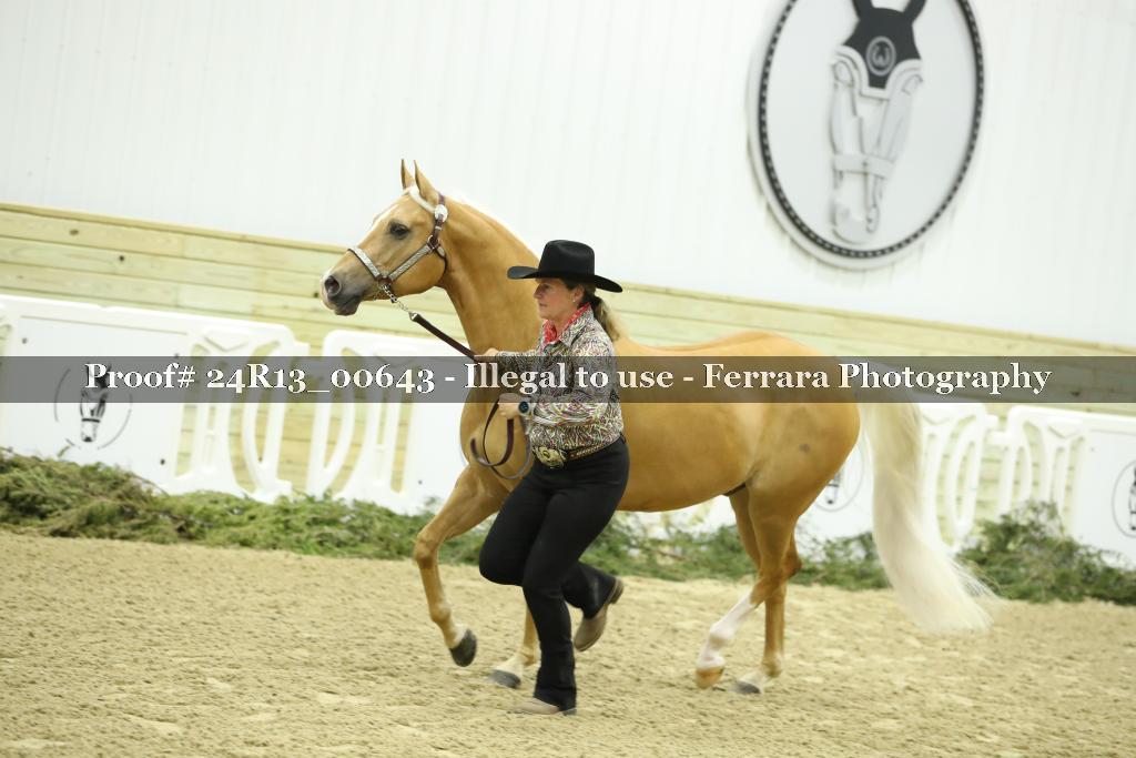 Proof 24R13_00643