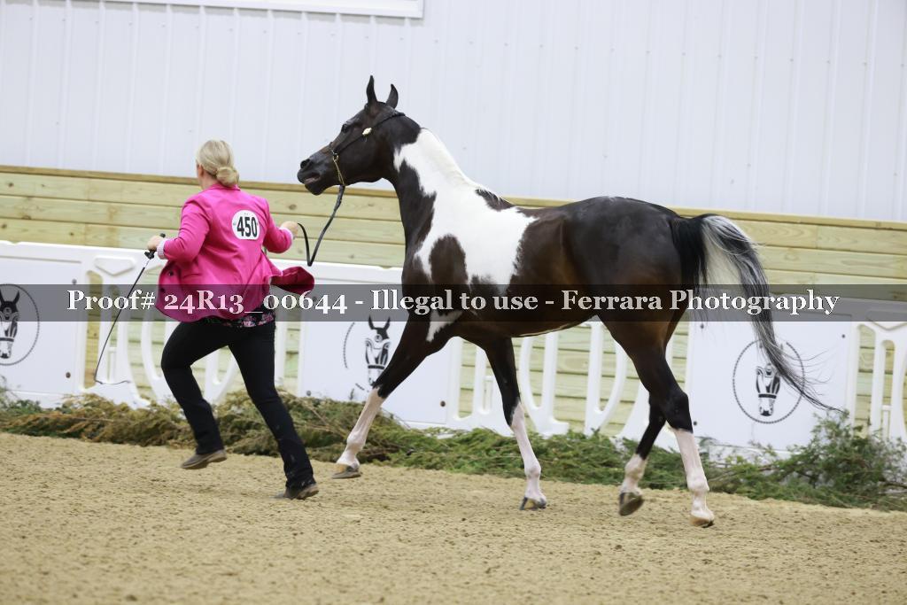 Proof 24R13_00644