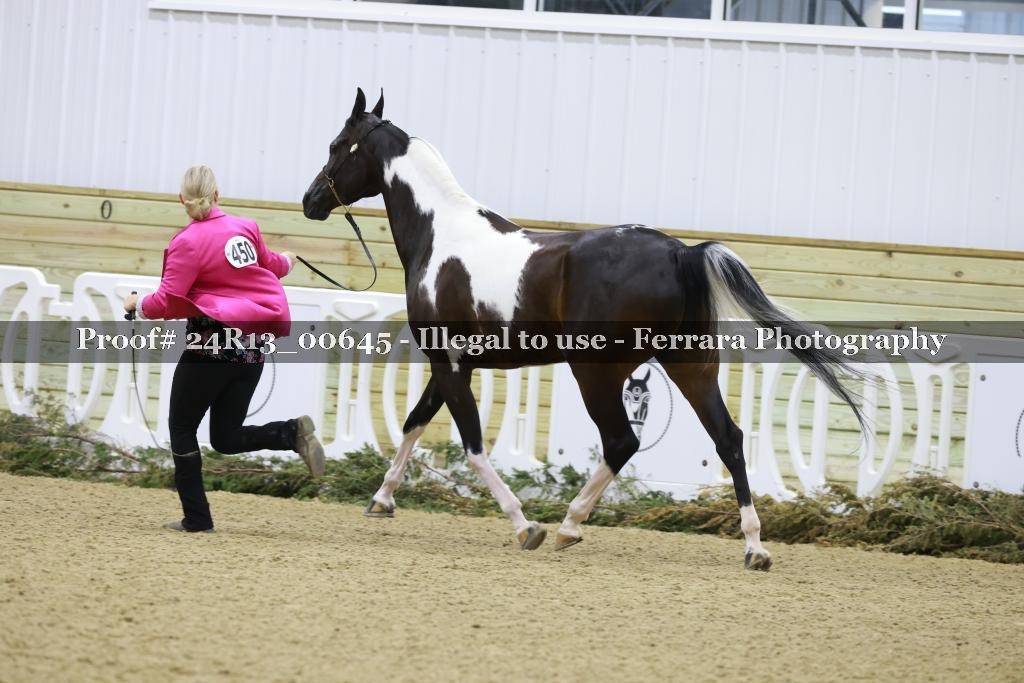 Proof 24R13_00645