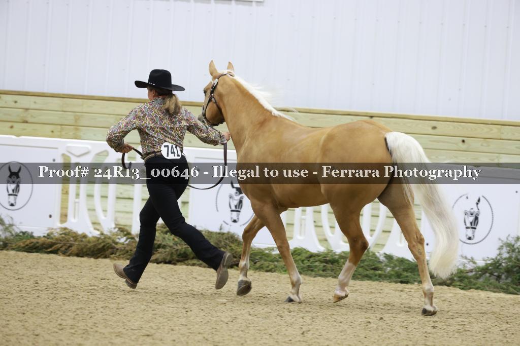 Proof 24R13_00646