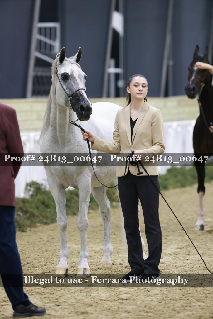 Proof 24R13_00647