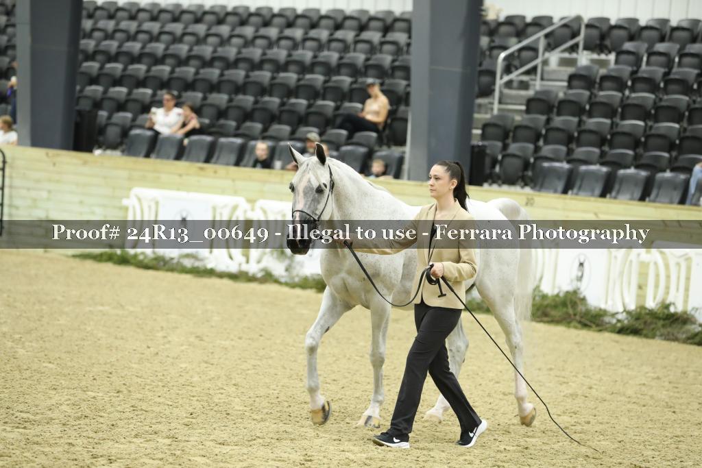 Proof 24R13_00649