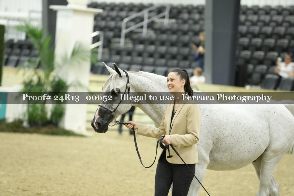 Proof 24R13_00652