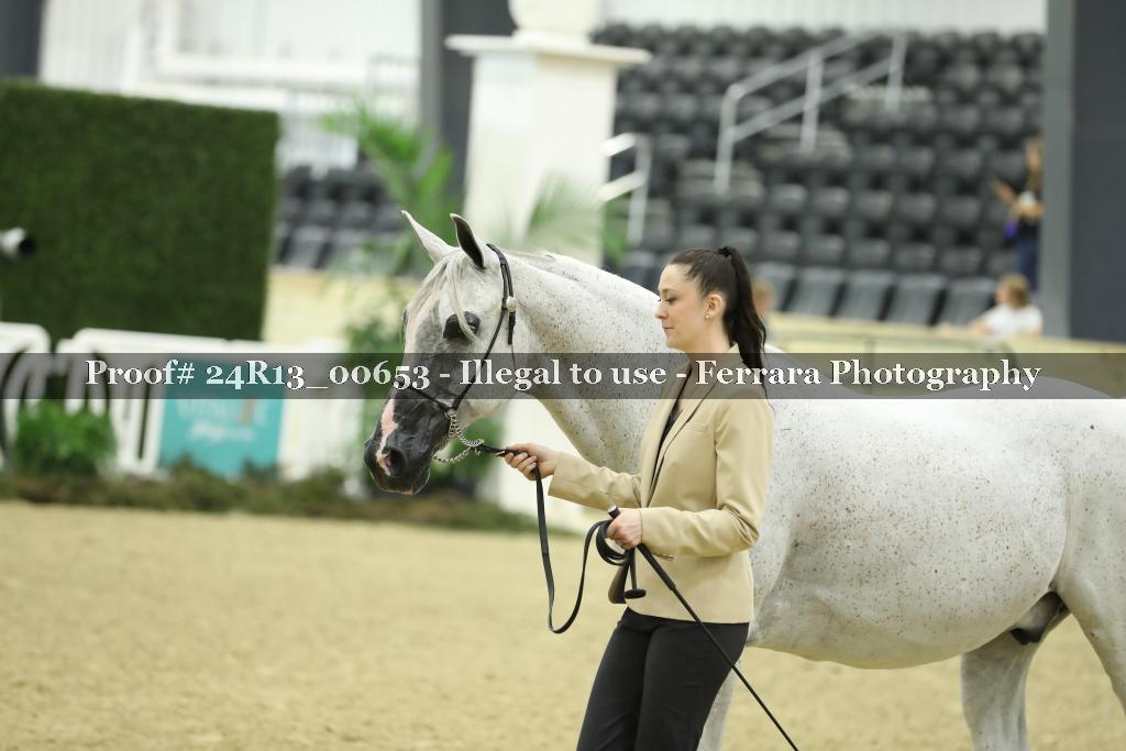 Proof 24R13_00653