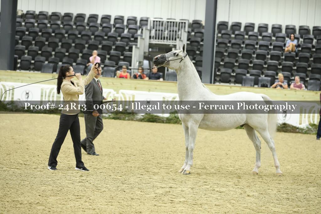 Proof 24R13_00654