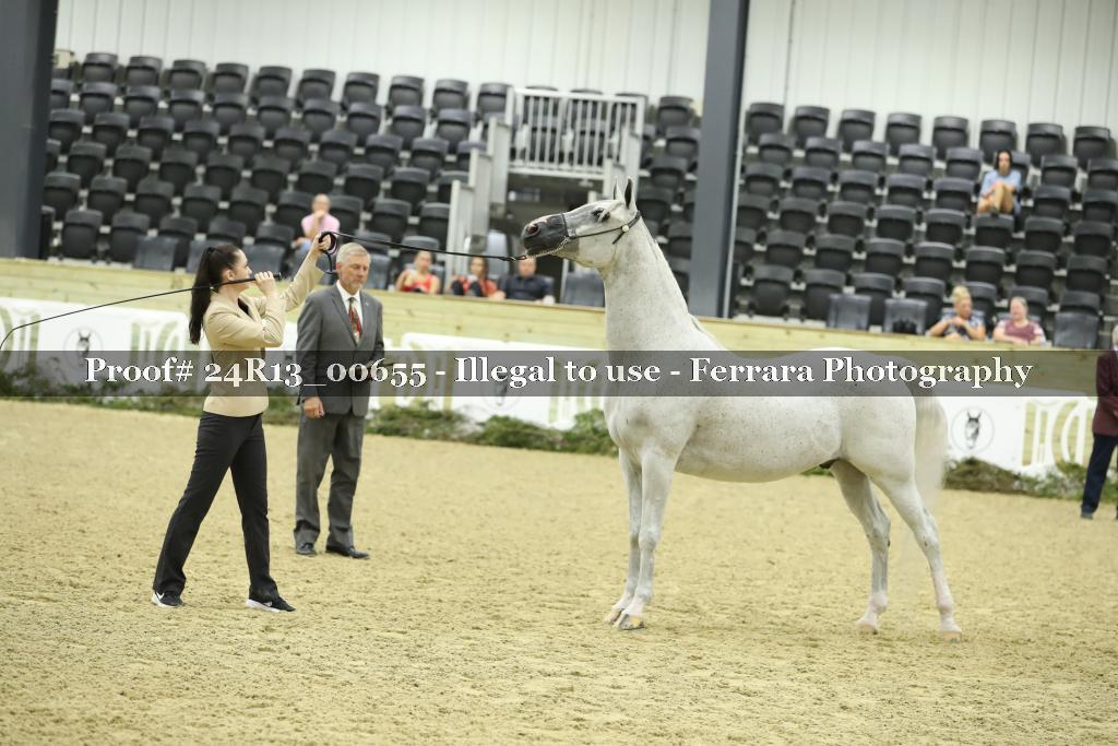 Proof 24R13_00655