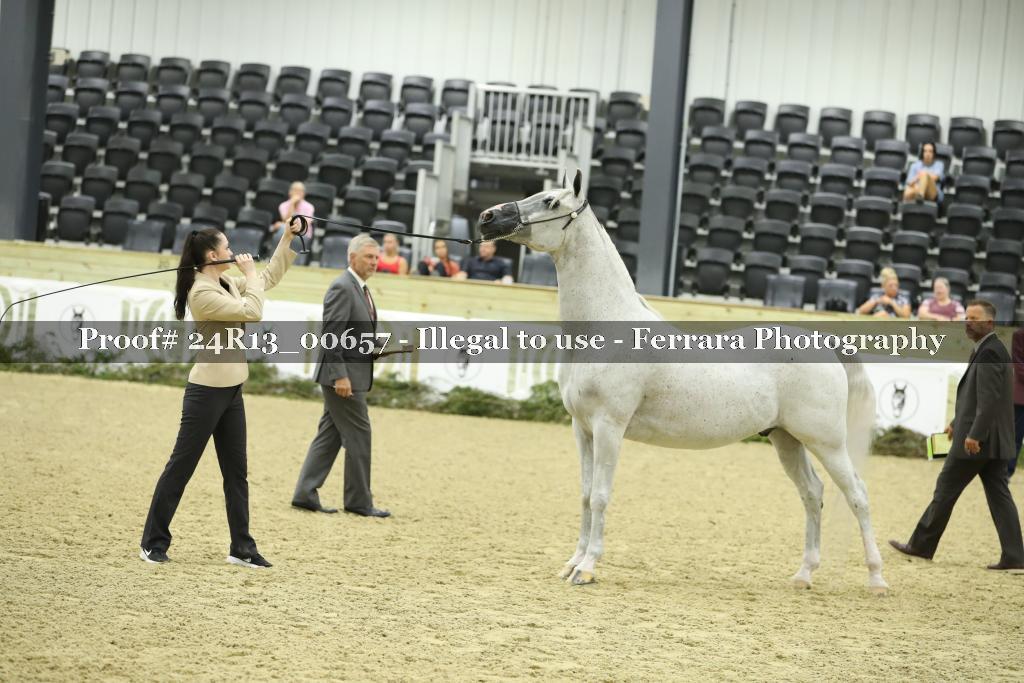 Proof 24R13_00657