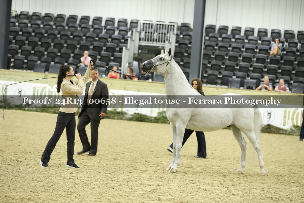 Proof 24R13_00658