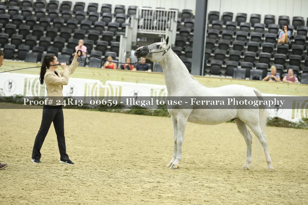 Proof 24R13_00659