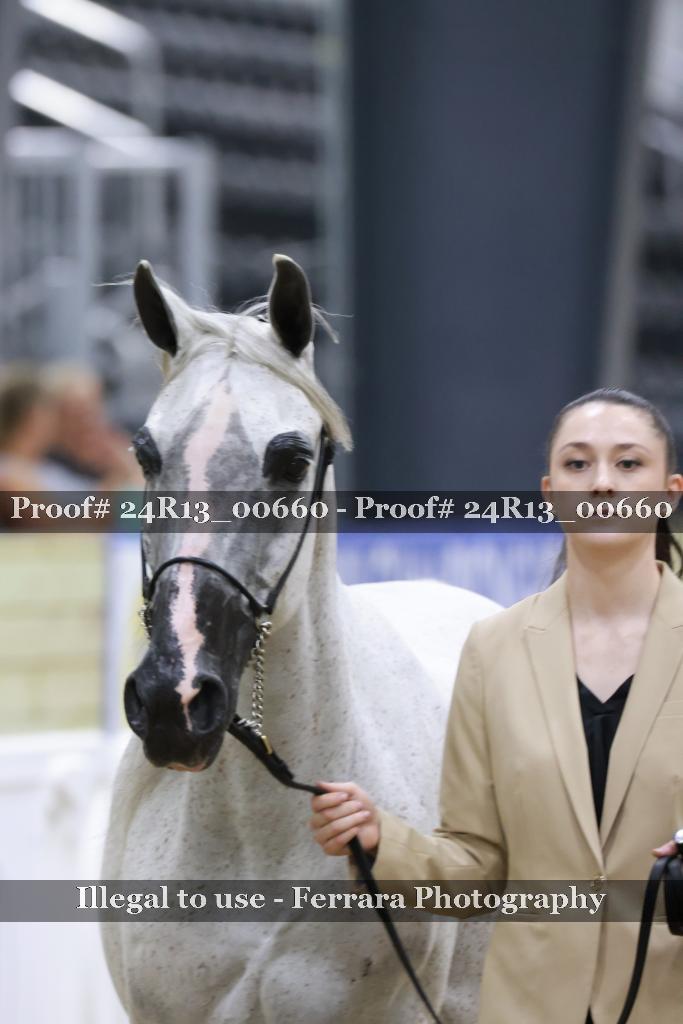 Proof 24R13_00660
