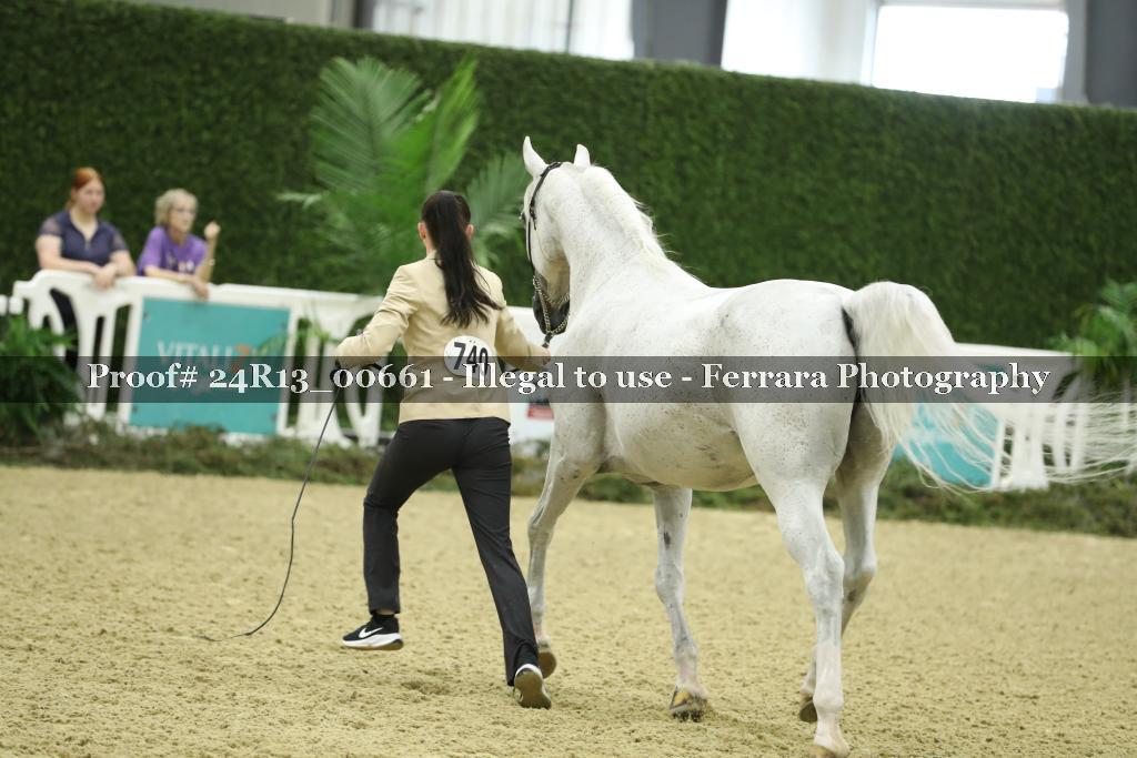 Proof 24R13_00661