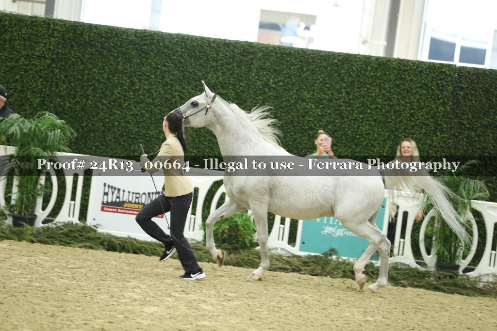 Proof 24R13_00664