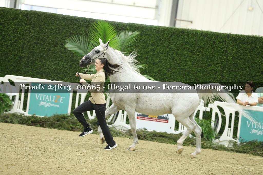 Proof 24R13_00665