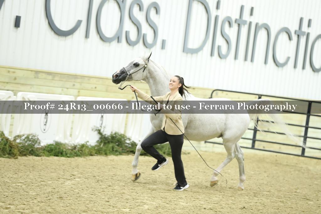 Proof 24R13_00666