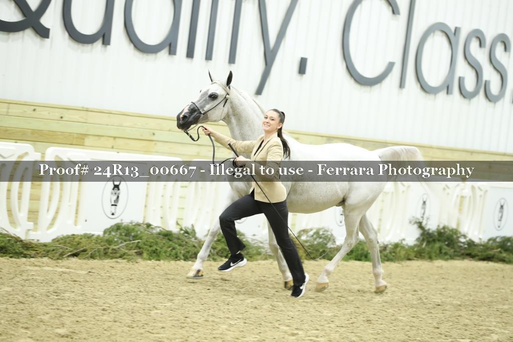 Proof 24R13_00667
