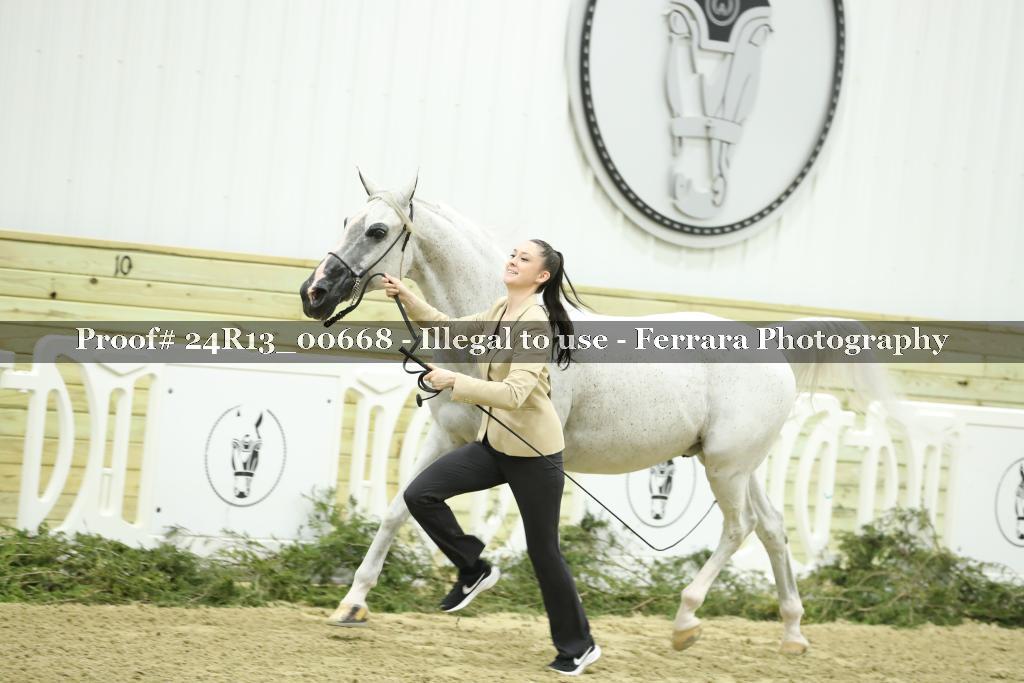 Proof 24R13_00668