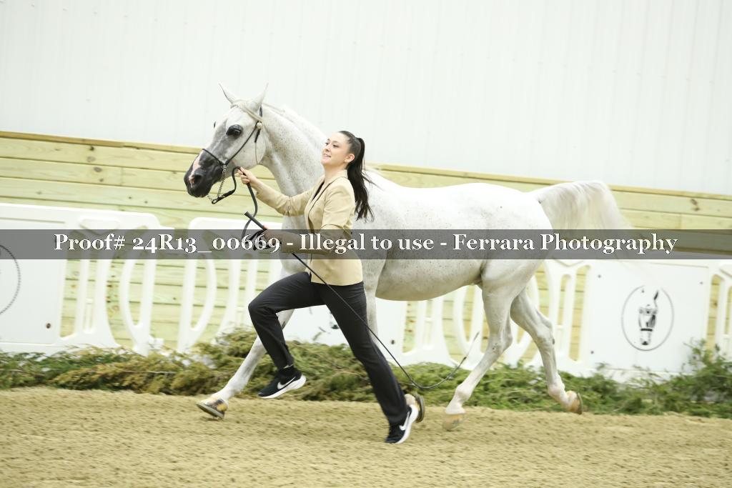 Proof 24R13_00669