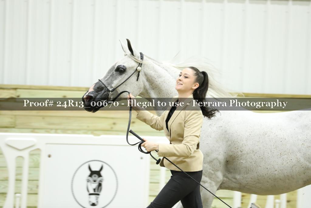Proof 24R13_00670