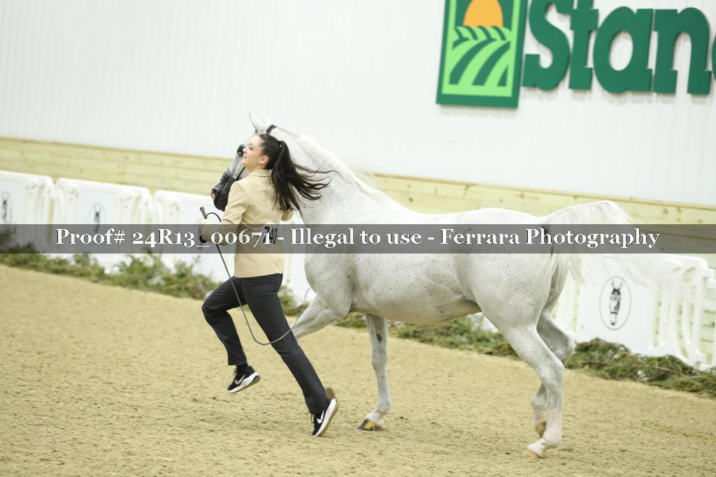 Proof 24R13_00671