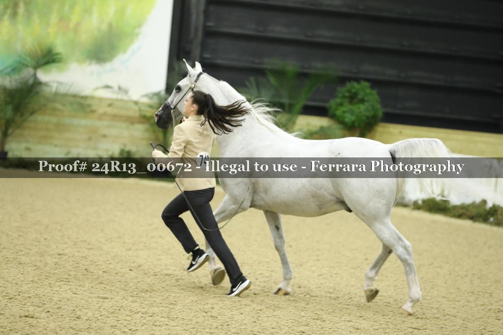 Proof 24R13_00672