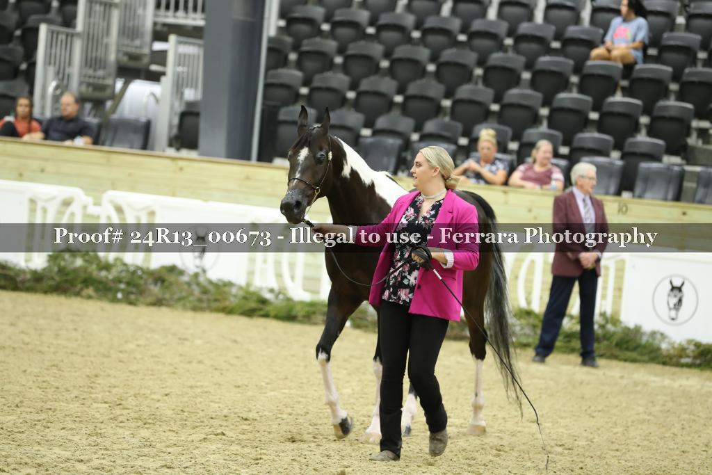 Proof 24R13_00673