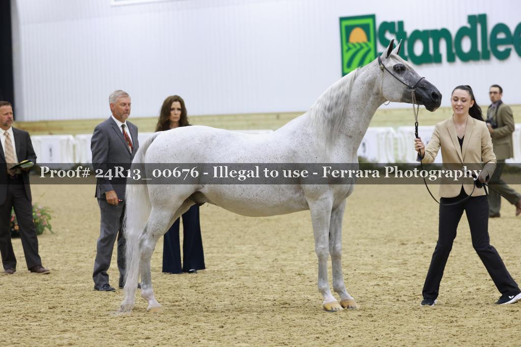 Proof 24R13_00676