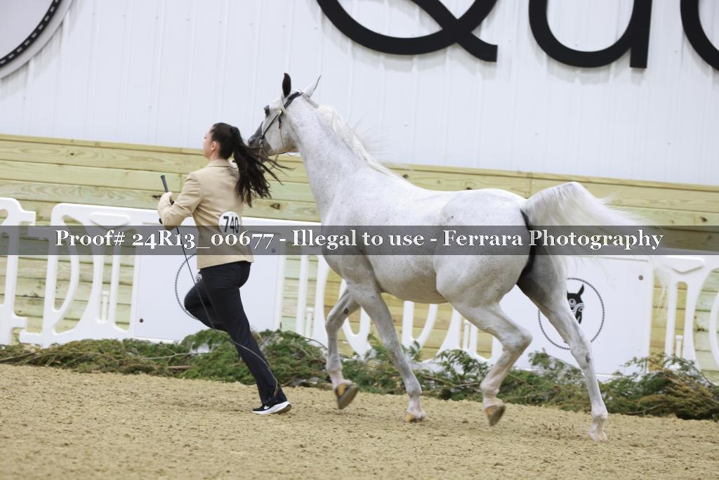 Proof 24R13_00677