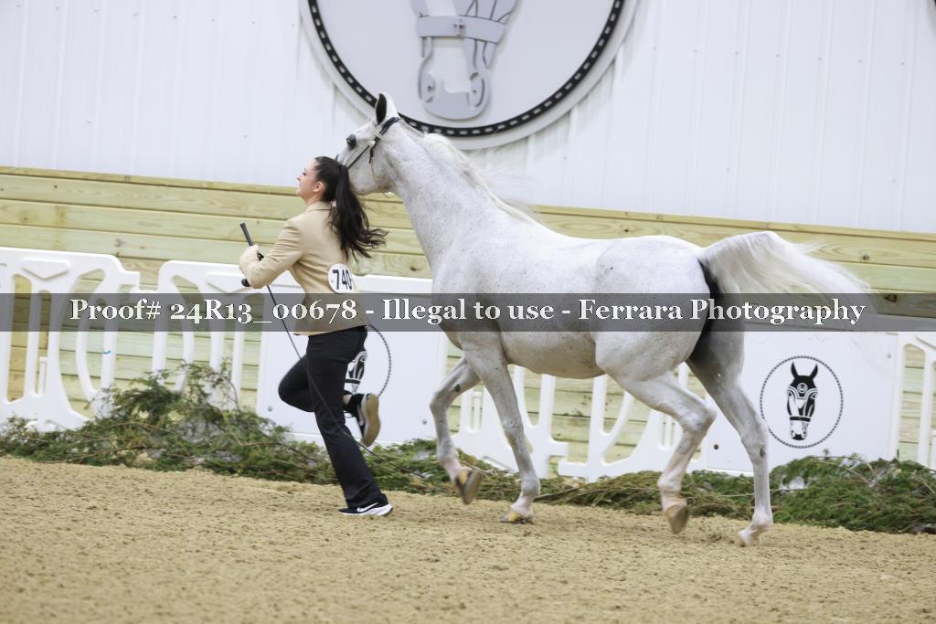Proof 24R13_00678