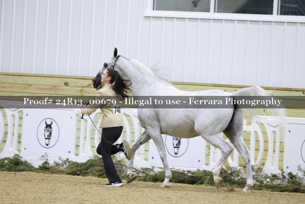 Proof 24R13_00679