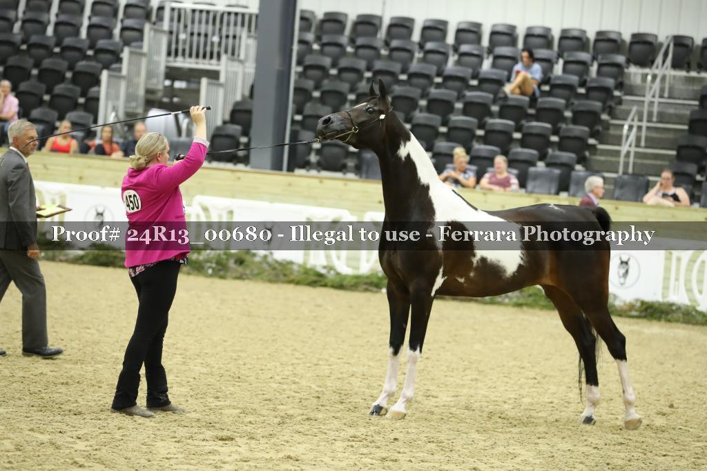 Proof 24R13_00680