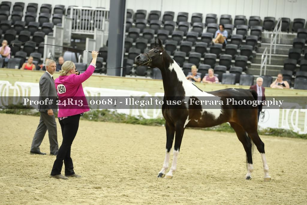 Proof 24R13_00681