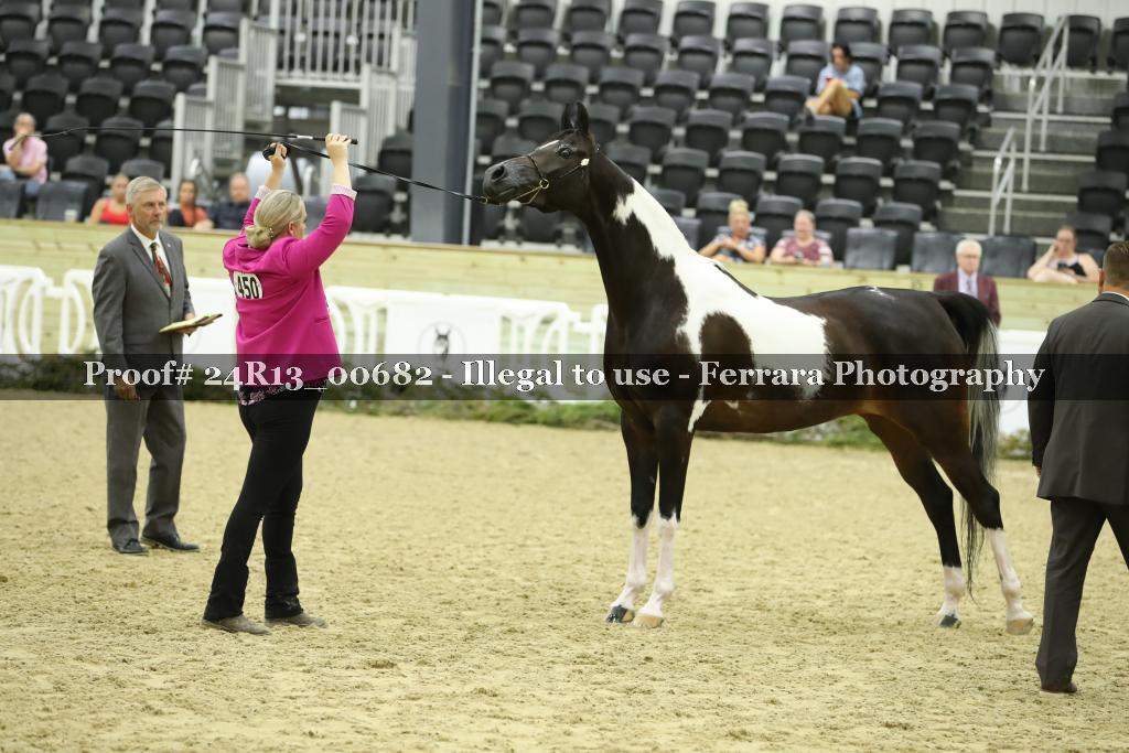 Proof 24R13_00682